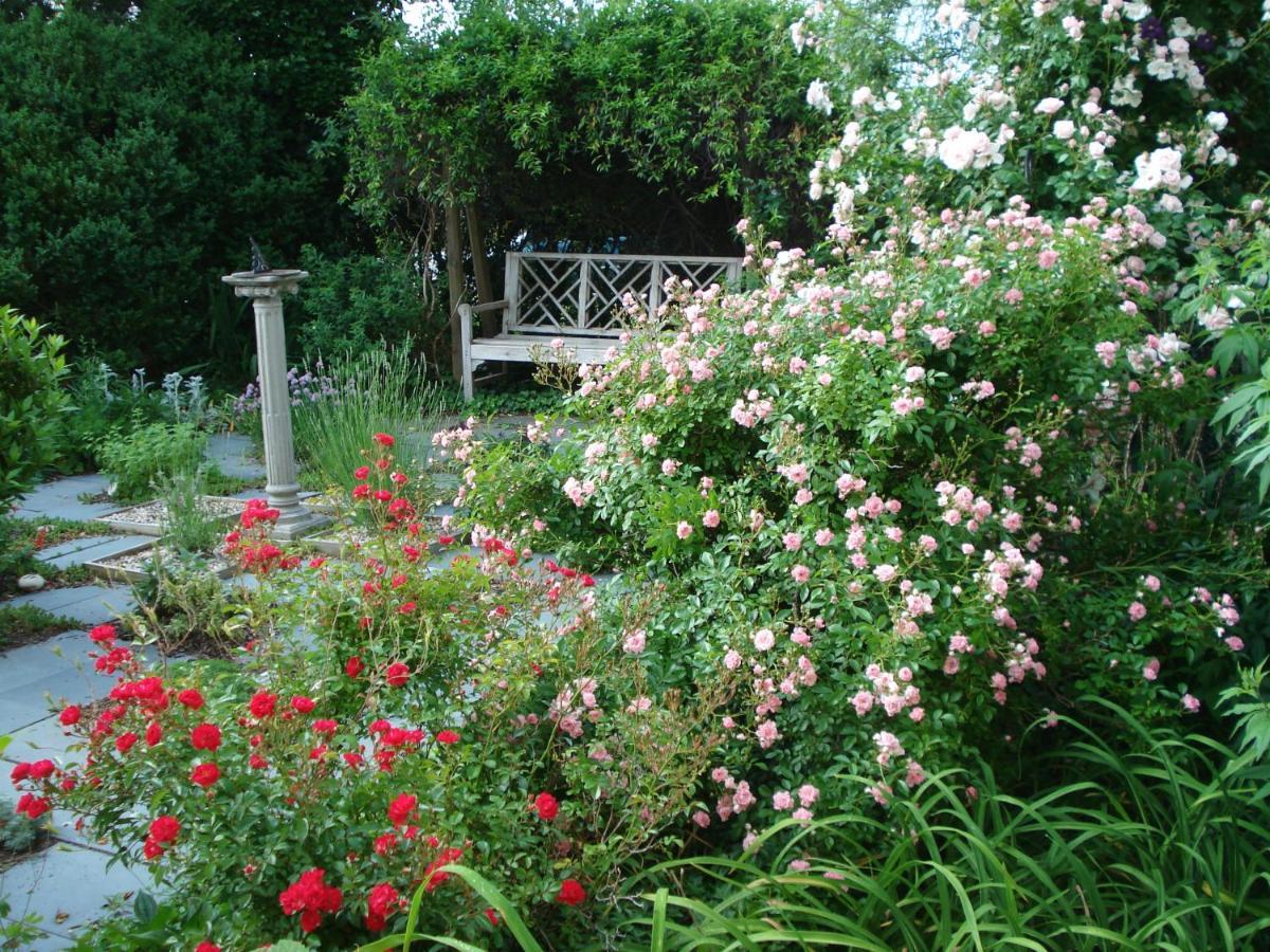 Newport House Bed & Breakfast Bed & Breakfast Williamsburg Exterior photo